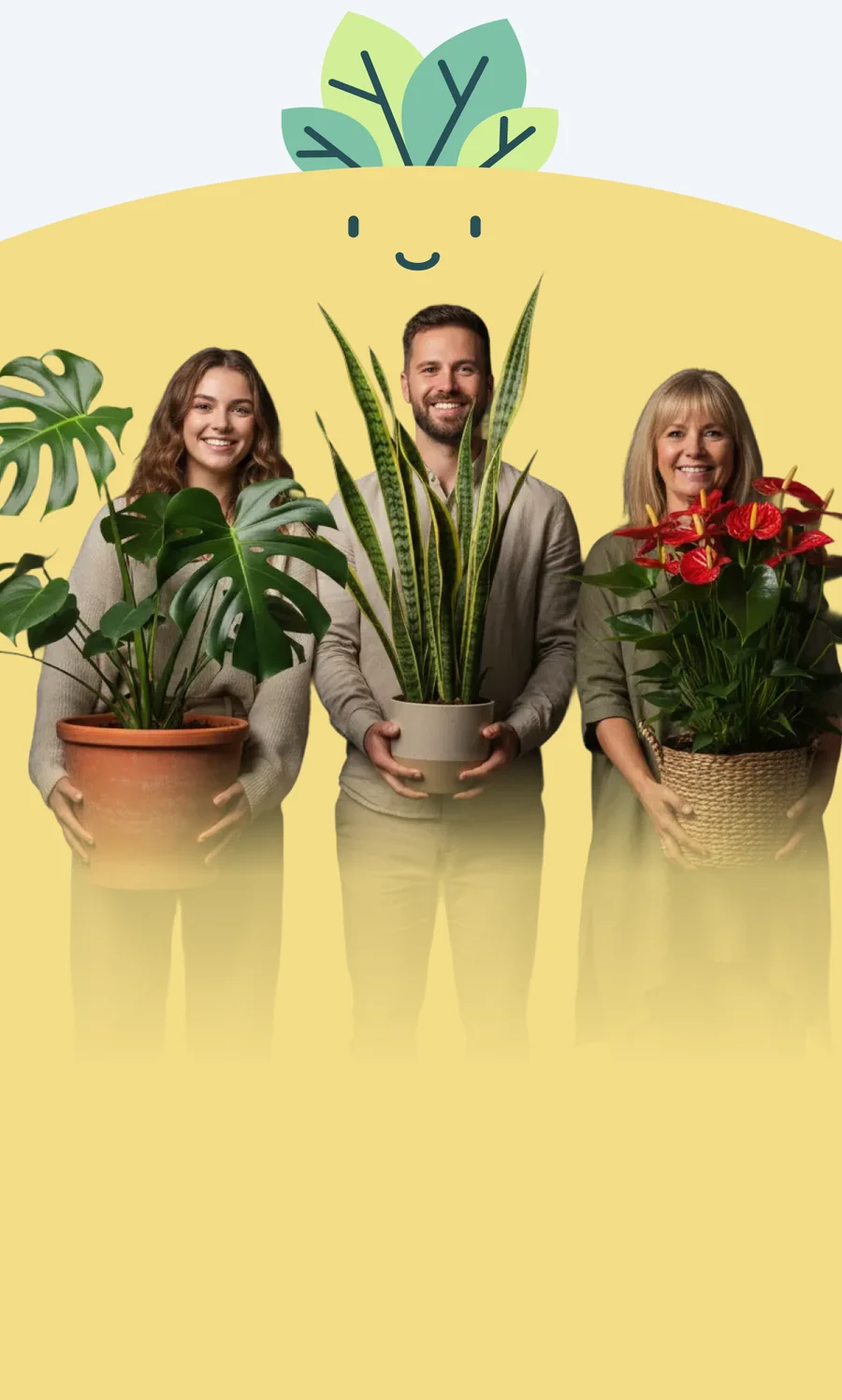 Three people holding a monstera, a snake plant and a flowering anthurium